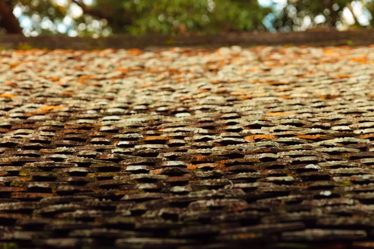 Aging shingle roof with moss growth and granule loss in Yuma, AZ